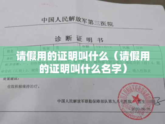请假用的证明叫什么（请假用的证明叫什么名字）